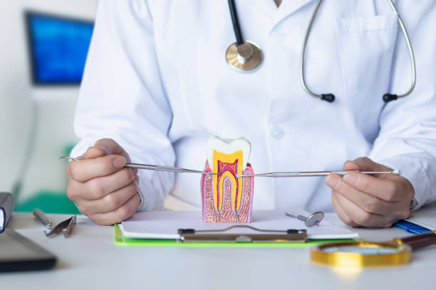 Best Emergency Tooth Extraction in Cohasset, MN